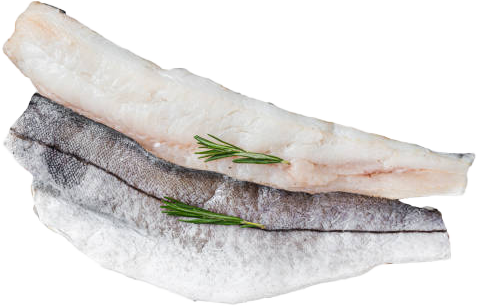 haddock