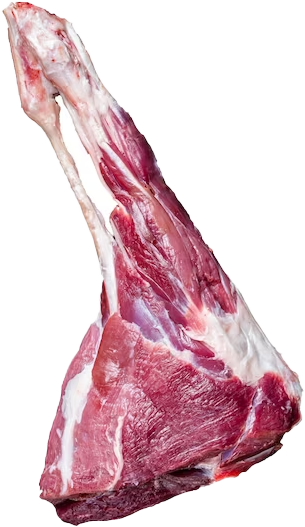 lamb-leg-bone